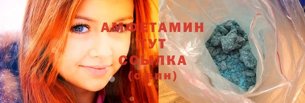 гашик Алексеевка