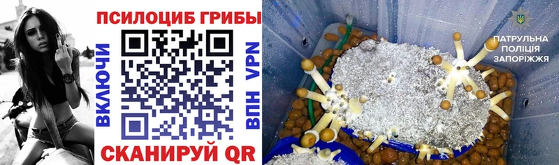 наркота  Анадырь  Галлюциногенные грибы ЛСД 